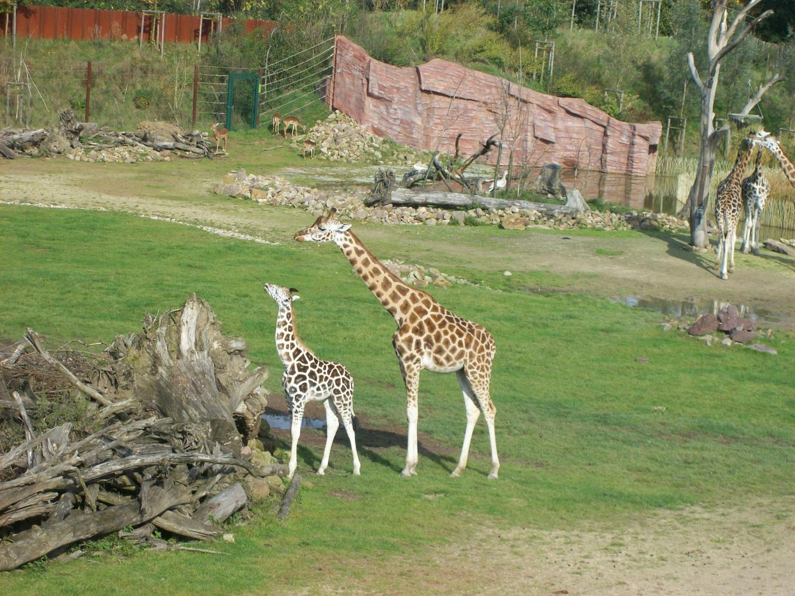 Zoom 18.10.2008-112.jpg
